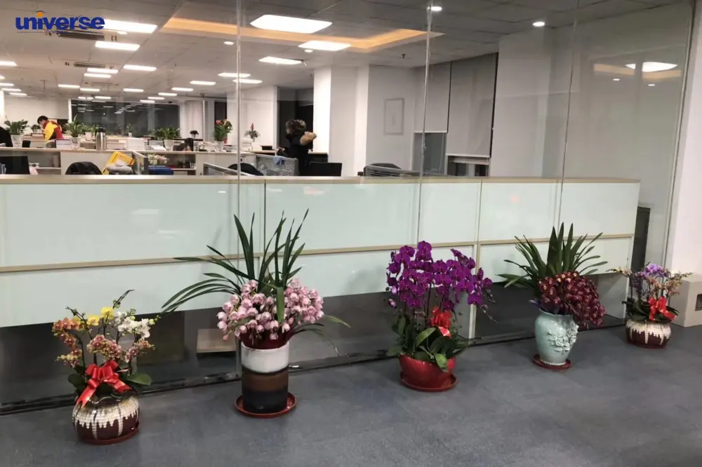 Why Choose Universe Optical (6)