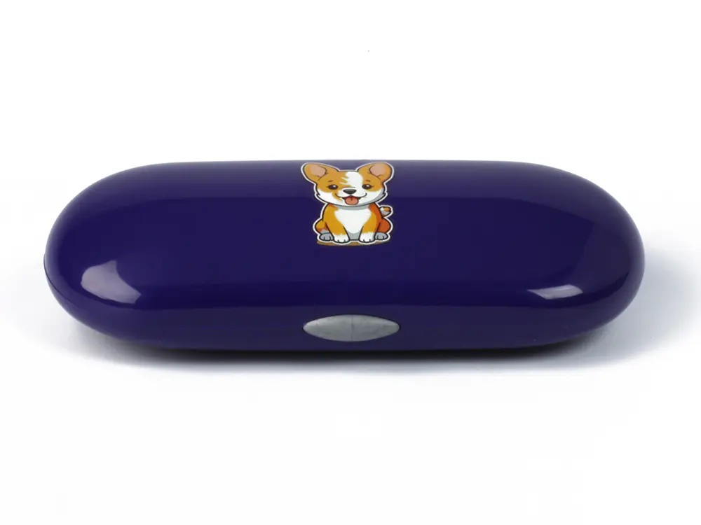 6202 Plastic Glasses Case (6).jpg