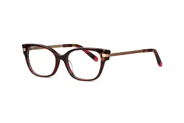 XL6016 Stylish Acetate Eyeglass Frame Metal Temples
