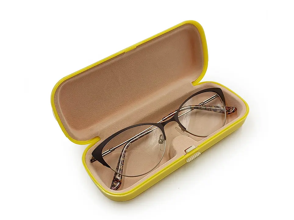 6084 Plastic Glasses Case (1).jpg